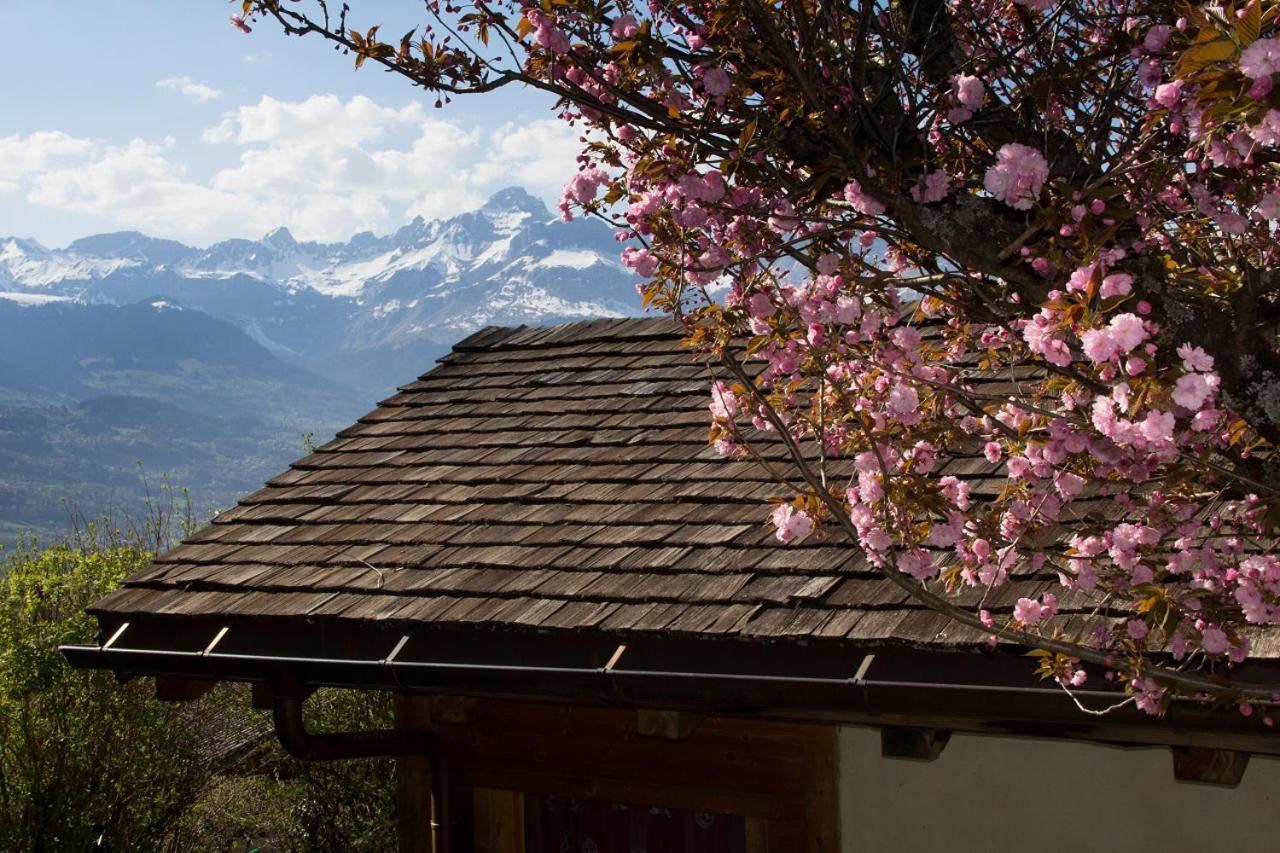 Chalet Cosy Proche Tramway Du Mont-Blanc Et Centre Saint-Gervais-les-Bains Exterior photo